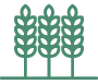 agrotika